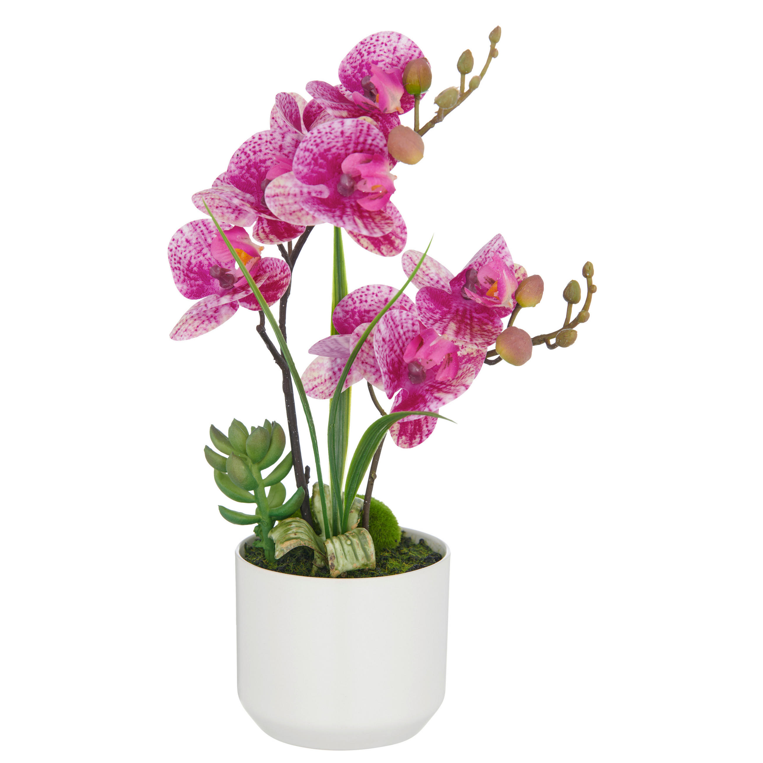 KUNSTPFLANZE Orchidee  - Pink/Creme, Basics, Keramik/Kunststoff (14/38/14cm) - P & B