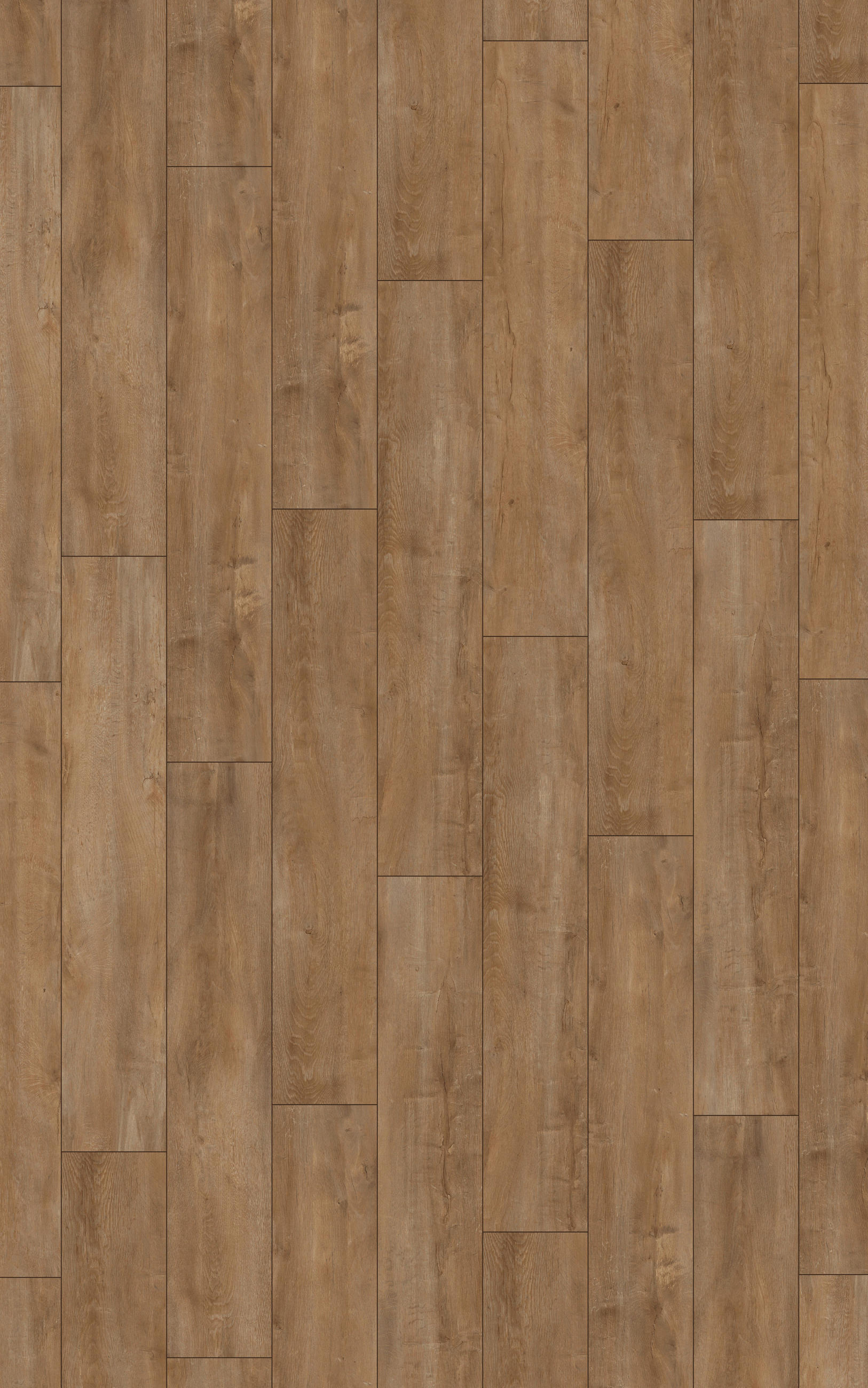 LAMINATBODEN Exquisit Plus  - Eichefarben, KONVENTIONELL, Holz (138.0/24.4/0.8cm)