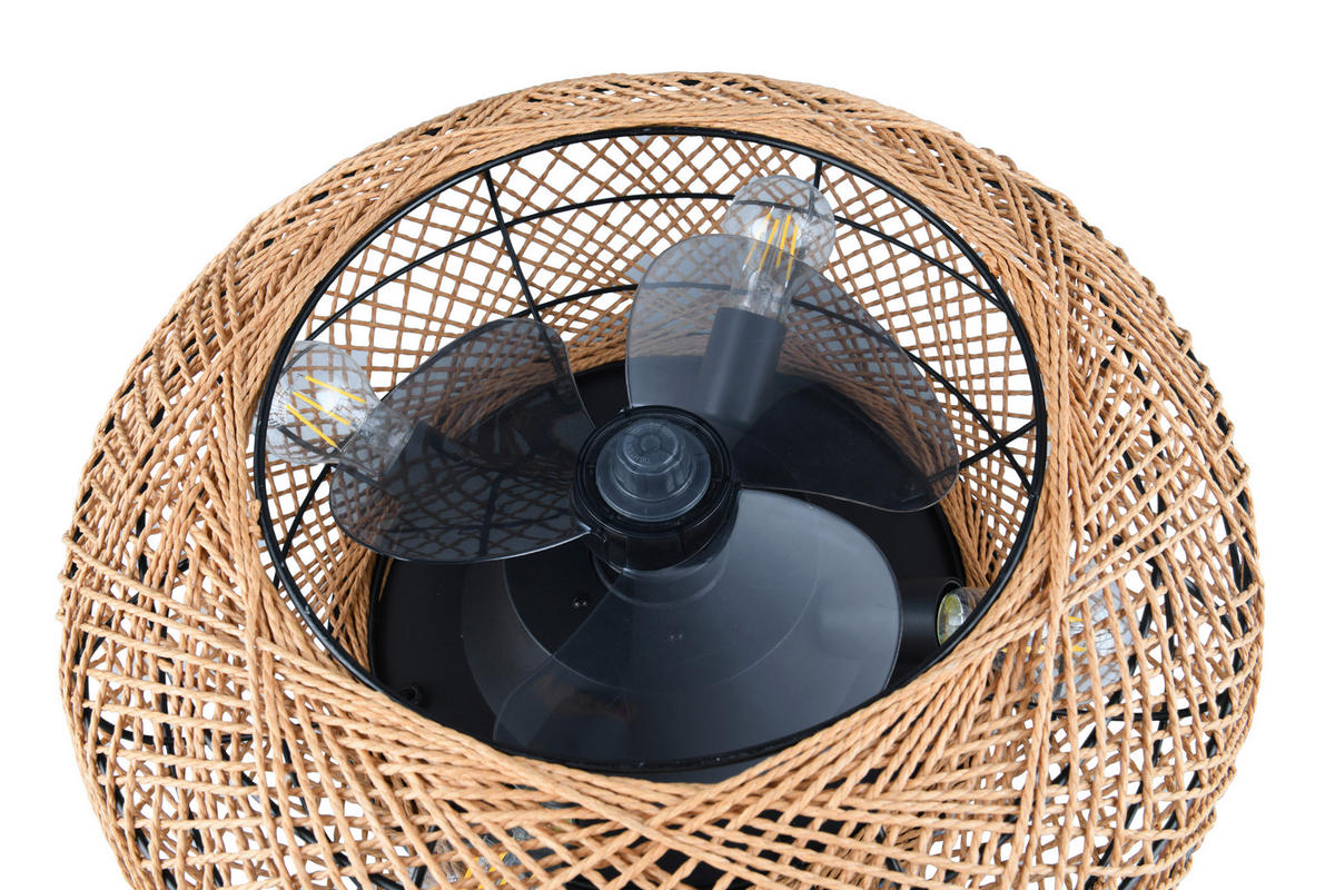 DECKENVENTILATOR  50/21,5 cm    - Transparent/Schwarz, Design, Kunststoff/Metall (50/21,5cm)