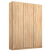 DREHTÜRENSCHRANK in Sonoma Eiche  - Alufarben/Sonoma Eiche, Modern, Holzwerkstoff/Metall (136/229/54cm) - Rauch Möbel