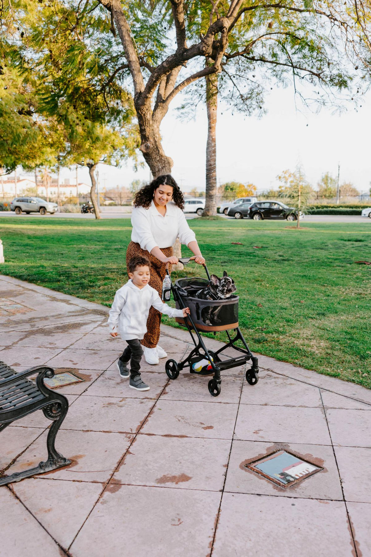 HUNDEBUGGY P2 Pet Stroller  - Schwarz/Grau, Basics, Textil/Metall (68/44/100cm) - WONDERFOLD