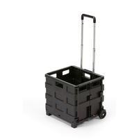 TRANSPORTWAGEN - Schwarz, Basics, Kunststoff (38/33/36cm)