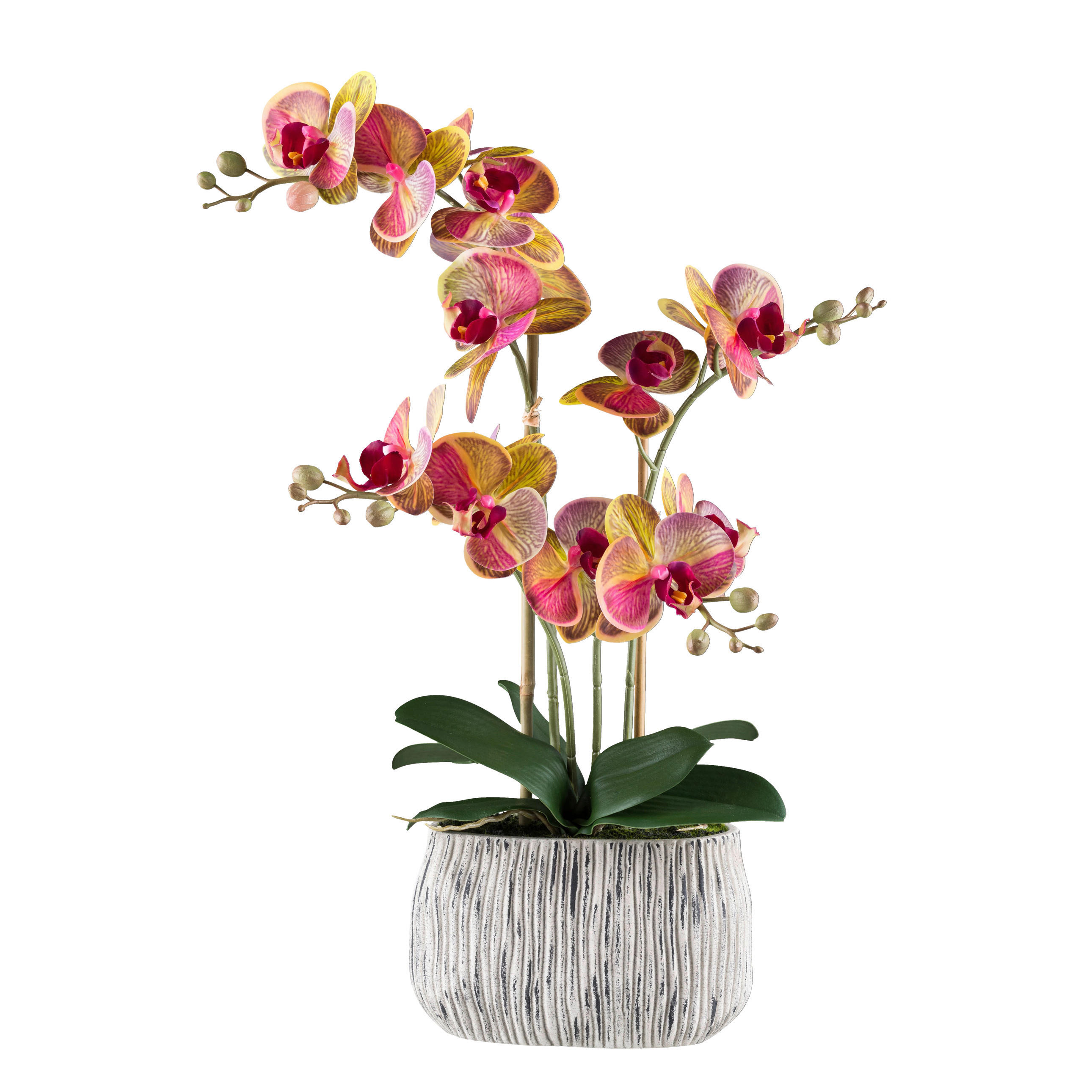 KUNSTPFLANZE Orchidee 56 cm  - Pink/Gelb, Design, Kunststoff/Stein (56cm) - P & B