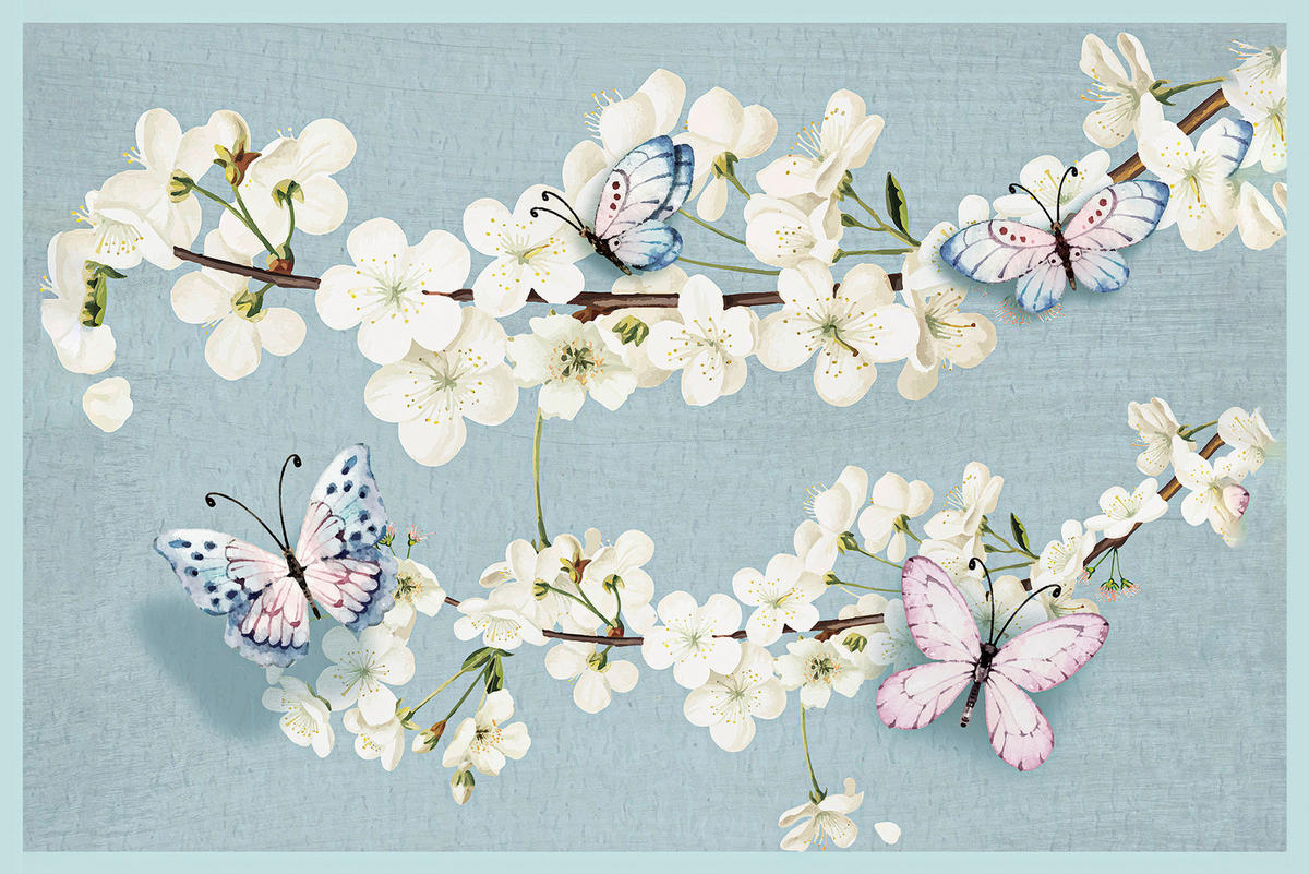 DVEŘNÍ ROHOŽKA, 60/80 cm - Konvenční (60/80cm) - Esposa