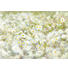 FOTOTAPETE - Basics, Papier (368/254cm) FOTOTAPETE - Basics, Papier (368/254cm)