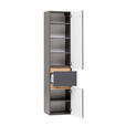 HOCHSCHRANK 40/180/35 cm  - Silberfarben/Graphitfarben, Natur, Holzwerkstoff (40/180/35cm) - Xora