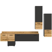 DNEVNI REGAL,  siva, barve hrasta  - siva/črna, Design, umetna masa/leseni material (247/196/37cm) - Livetastic