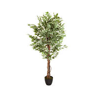KUNSTPFLANZE Ficus Benjamina  - Schwarz/Braun, Basics, Kunststoff (80/165/80cm) - MID.YOU