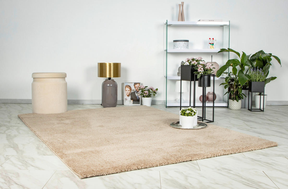 HOCHFLORTEPPICH 160/230 cm Champagner rechteckig  - Champagner, Basics, Textil (160/230cm) - Kayoom