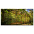 Architektur BILD RUST IN THE GARDEN - Multicolor, Basics, Holzwerkstoff/Kunststoff (100/50cm) - Wiedemann Architektur BILD RUST IN THE GARDEN - Multicolor, Basics, Holzwerkstoff/Kunststoff (100/50cm) - Wiedemann