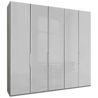 FALTTÜRENSCHRANK Grau, Weiss  - Chromfarben/Weiss, Konventionell, Glas/Holzwerkstoff (250/236/58cm) - Dieter Knoll