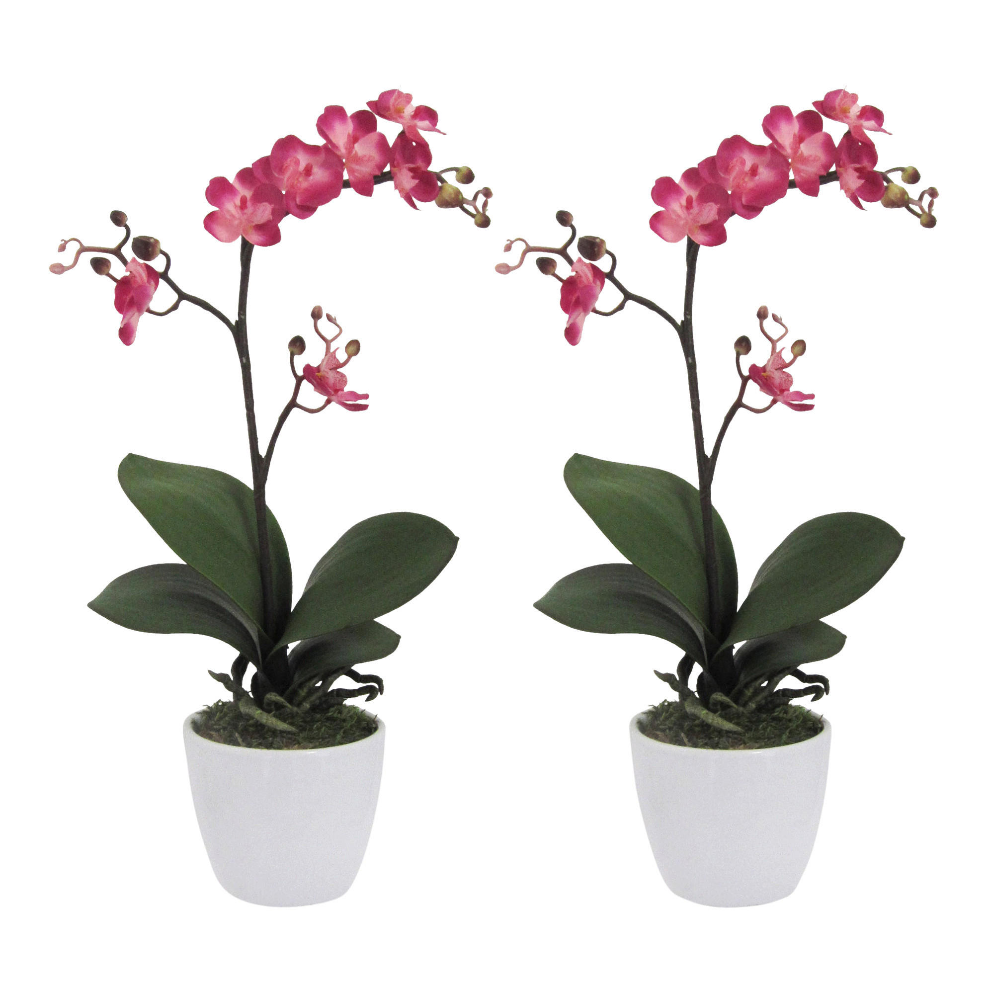 KUNSTPFLANZE Orchidee 55 cm  - Rosa/Weiß, Design, Keramik/Kunststoff (55cm) - P & B