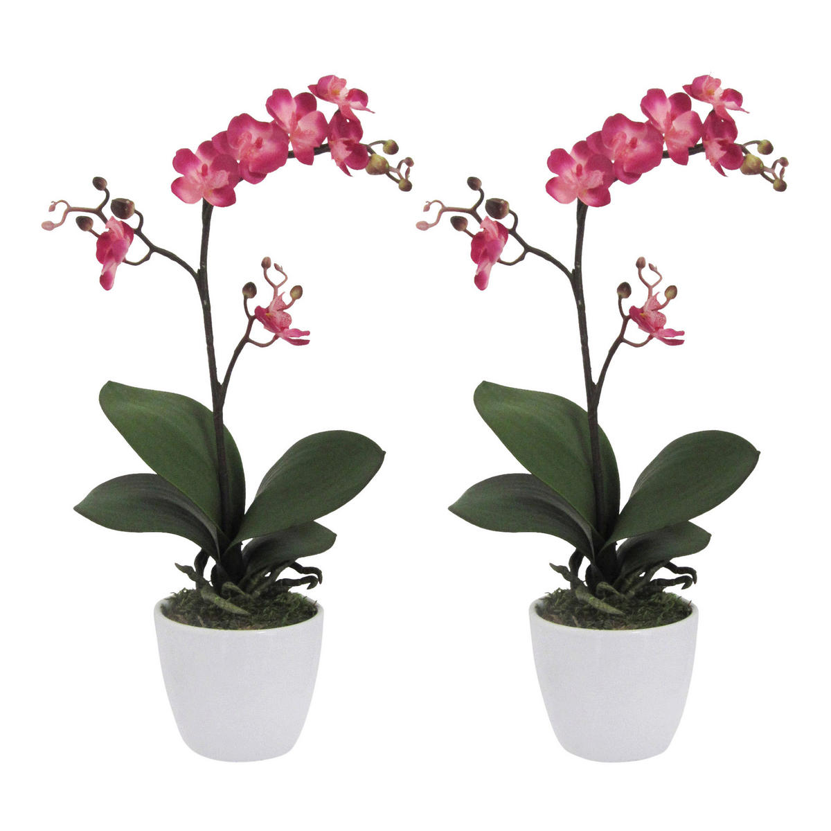 KUNSTPFLANZE Orchidee 55 cm  - Rosa/Weiß, Design, Keramik/Kunststoff (55cm) - P & B