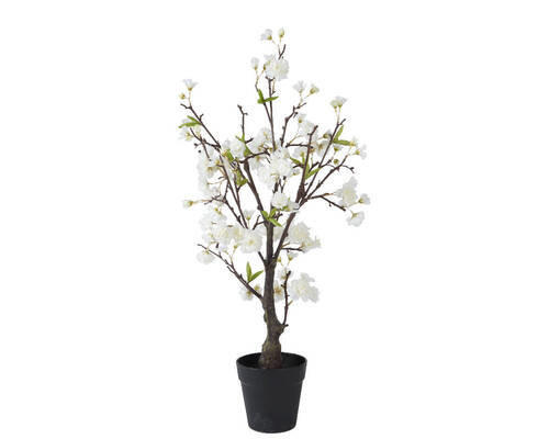 PLANTĂ DECORATIVĂ - Basics (35/35/80cm)
