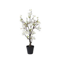 Plantă Decorativă - Basics (35/35/80cm)