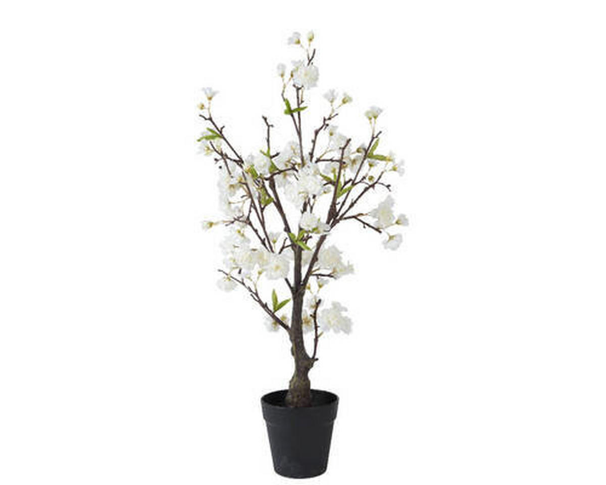 Plantă Decorativă - Basics (35/35/80cm)