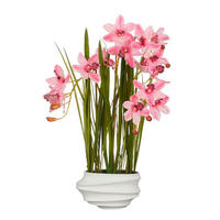 CSÓNAKORCHIDEA - pink, Basics, műanyag (49/40/81cm)