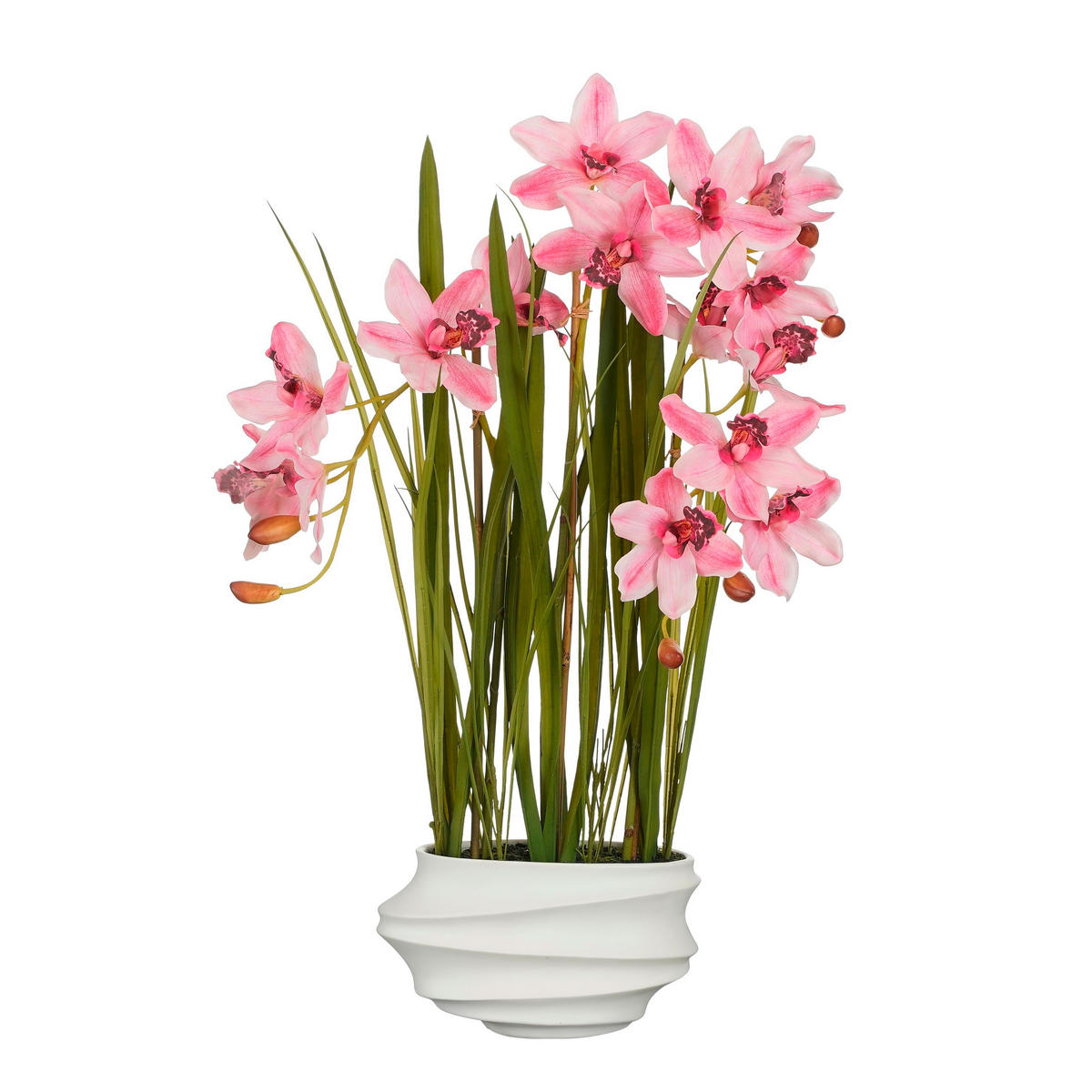 CSÓNAKORCHIDEA - pink, Basics, műanyag (49/40/81cm)