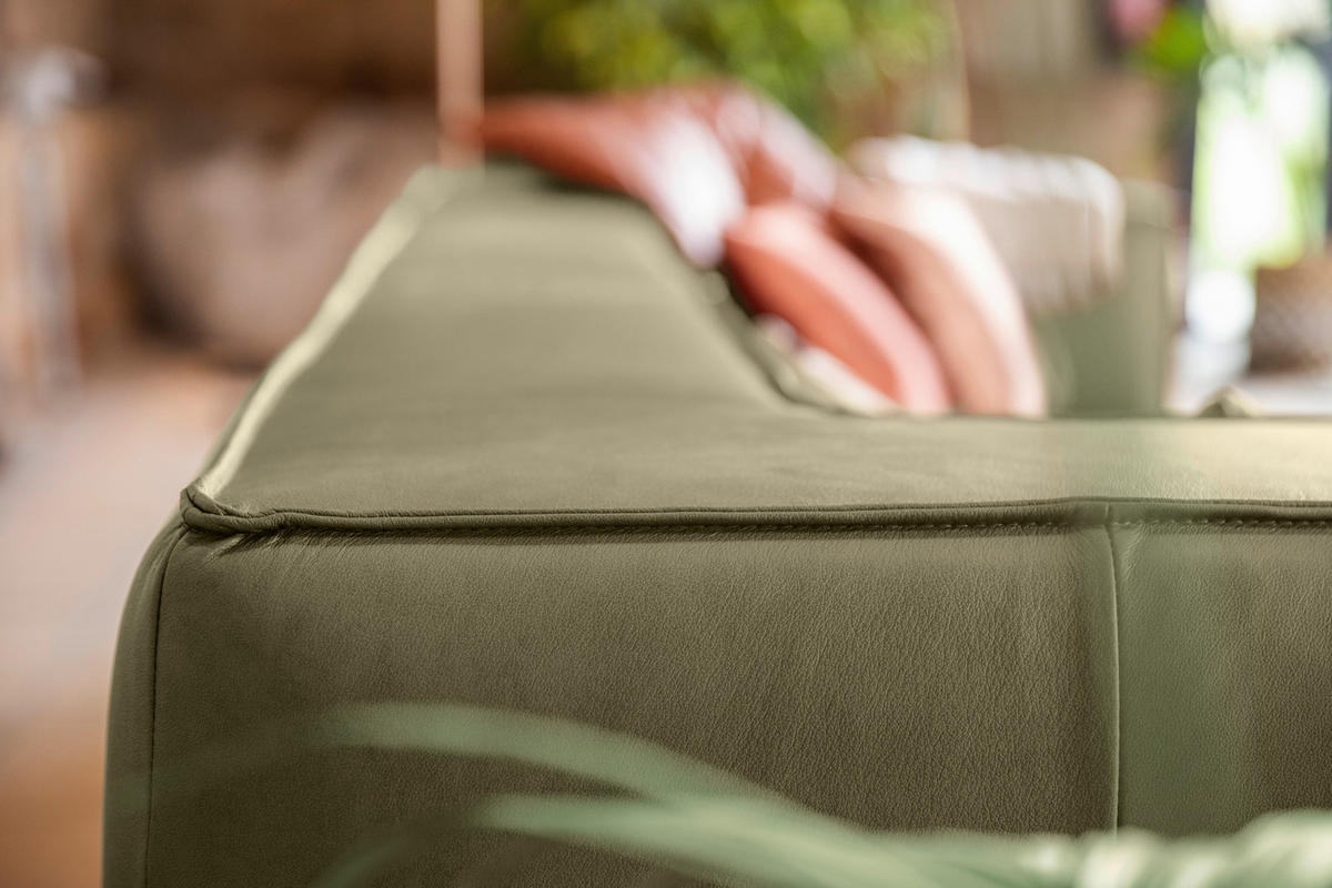 VIERSITZER-SOFA in Echtleder Grün  - Schwarz/Grün, Modern, Leder/Kunststoff (300/66/104cm) - W.Schillig