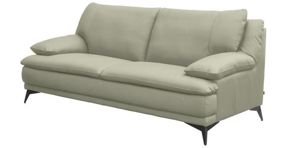 2,5-SITZER Taupe Echtleder  - Taupe/Schwarz, Design, Leder/Metall (212/92/98cm) - Novel