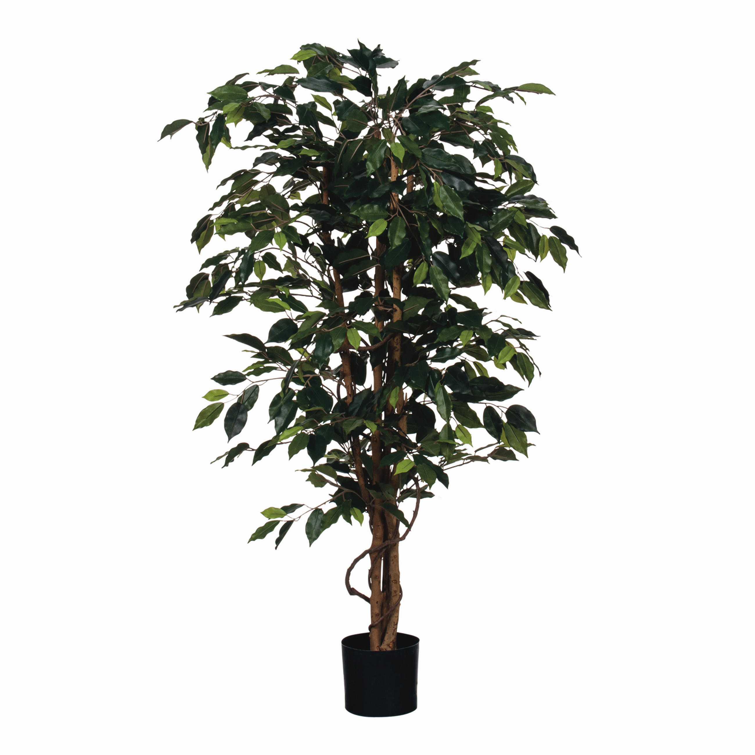 FIKUS BENJAMÍN  - zelená, Basics, plast (85/150cm)