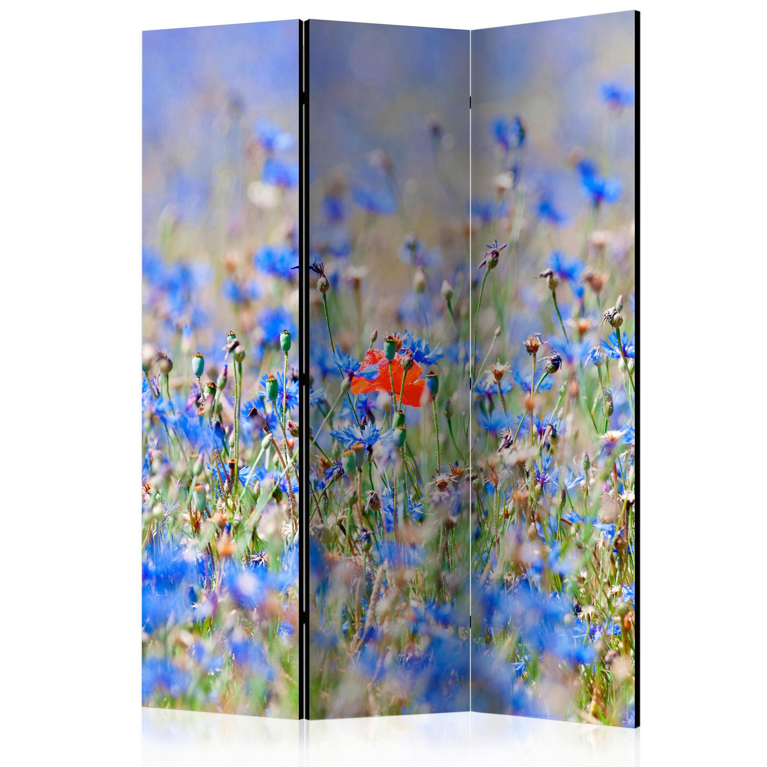 artgeist Paravent Hellblau, Hellgrün 135x172x3 cm