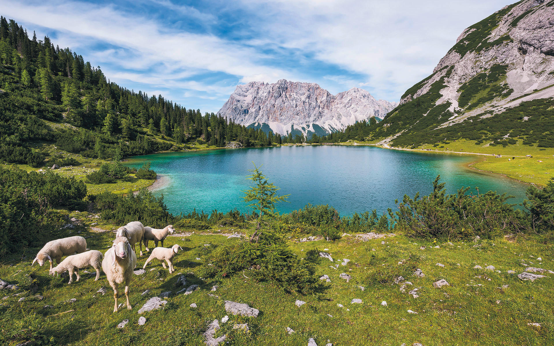 VLIESTAPETE  - Natur (400/250cm) - Komar