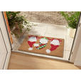 KOKOSMATTE 45/75 cm Mix Mats  - Hellbraun/Multicolor, Basics, Naturmaterialien/Kunststoff (45/75cm) - Esposa