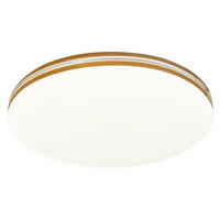 STROPNÉ LED SVIETIDLO, 34/8/34 cm - Basics, kov/plast (34/8/34cm)