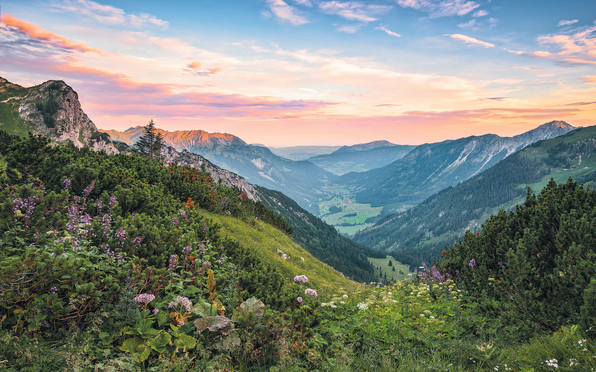 VLIESTAPETE  - Natur (400/250cm) - Komar