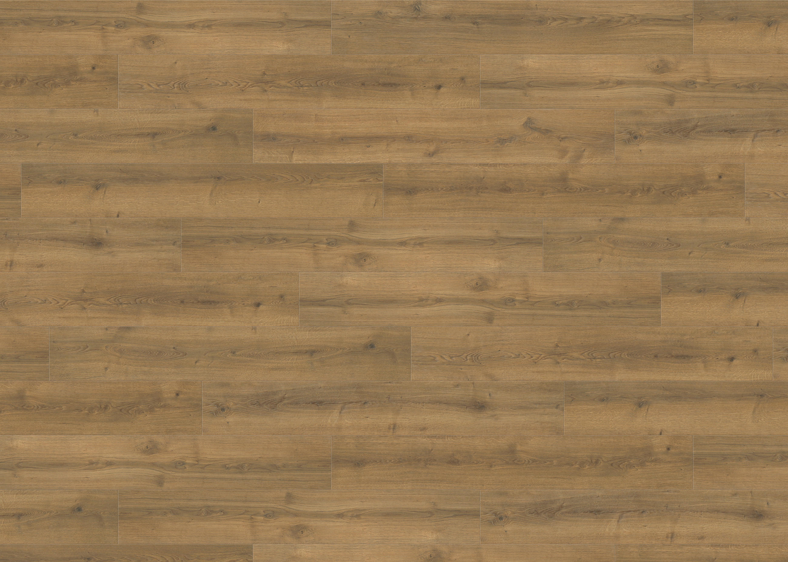 LAMINATBODEN Living by HARO Laminat NKL 32  per  m² - Eichefarben, Basics, Holzwerkstoff (19.3/128.2cm) - Living by HARO