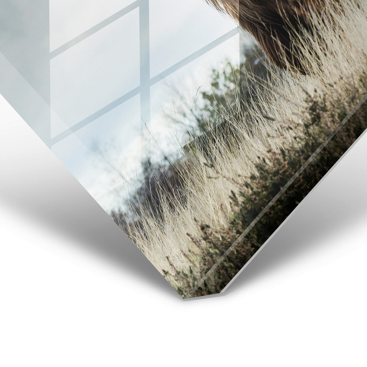 GLASBILD 148/98 cm  - Braun/Grün, Design, Glas (148/98cm)