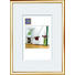 BILDERRAHMEN Goldfarben - Goldfarben, Basics, Glas/Kunststoff (41/31/1.75cm)
