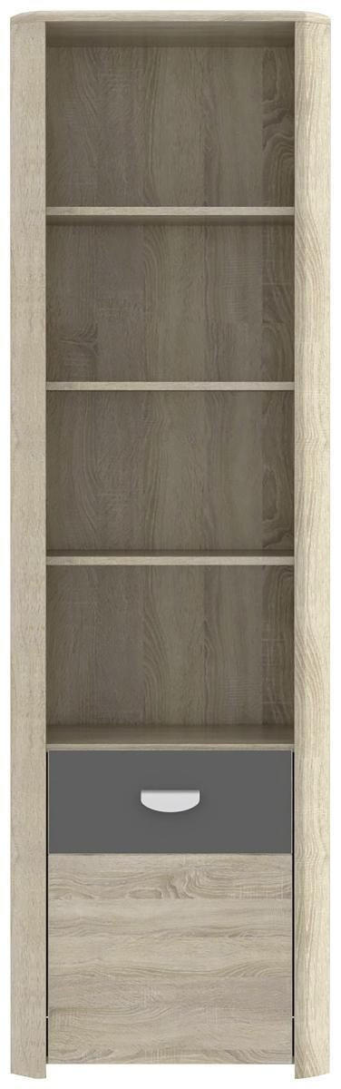 REGAL Anthrazit, Sonoma Eiche - Eichefarben/Anthrazit, Basics, Holzwerkstoff (59/194/41cm) - Carryhome