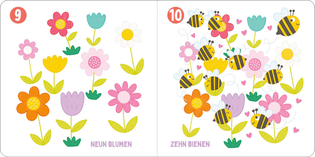 BUCH Ich kenne die Zahlen  - Multicolor, Basics, Papier (16/16/1cm)
