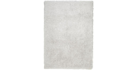 HOCHFLORTEPPICH 130/190 cm Fancy Silberfarben  - Silberfarben, KONVENTIONELL, Textil (130/190cm) - Novel