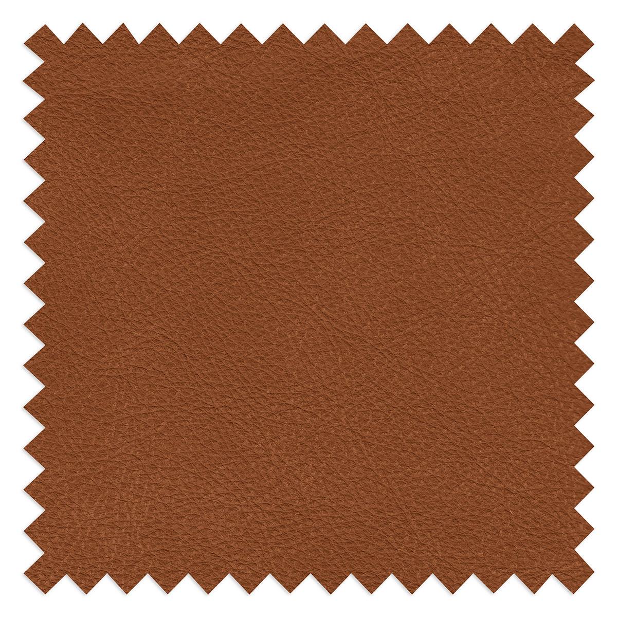 3-SITZER-SOFA  in Echtleder Karamell   - Beige/Karamell, Design, Leder/Kunststoff (300/85/123cm) - Livetastic
