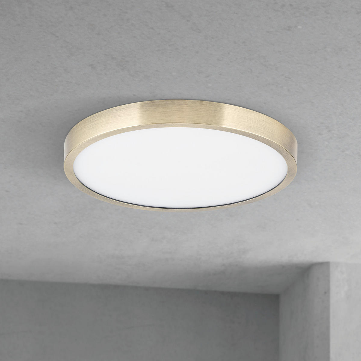 LED-DECKENLEUCHTE Disc 24/2,4 cm   - Bronzefarben, KONVENTIONELL, Kunststoff/Metall (24/2,4cm)