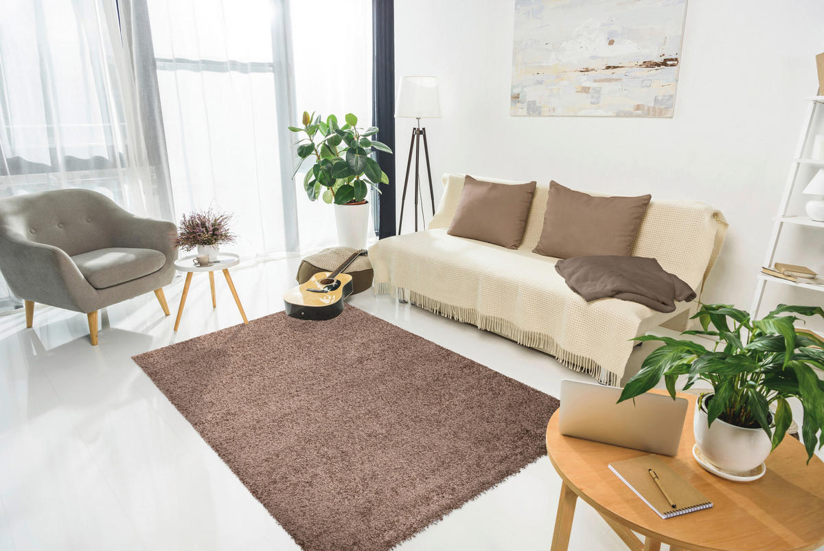 SHAGGY 120/170 cm Arya Braun  - Braun, KONVENTIONELL, Textil (120/170cm) - Novel