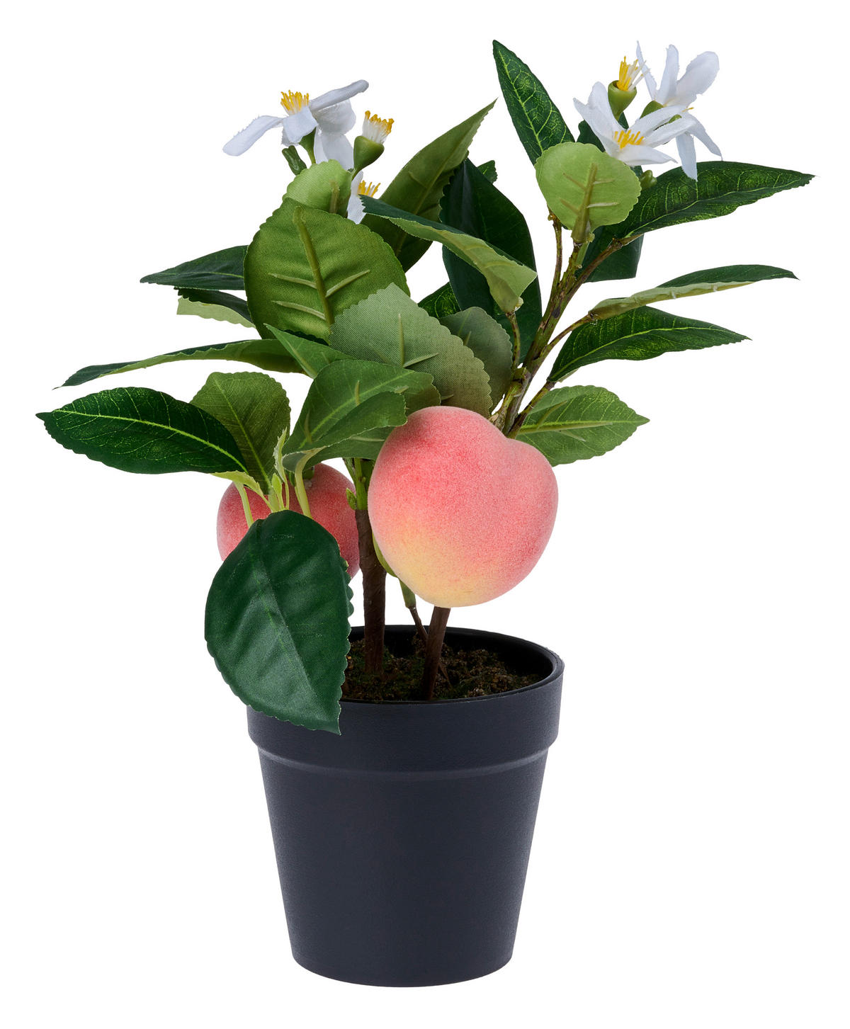 UMĚLÁ ROSTLINA broskev 30 cm - černá/smaragdově zelená, Trend, kov/plast (30cm) - Ambia Home