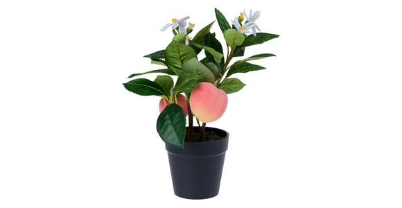 KUNSTPFLANZE Pfirsich 30 cm  - Smaragdgrün/Hellbraun, Trend, Kunststoff/Metall (30cm) - Ambia Home