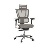 DREHSTUHL Netz Hellgrau  - Silberfarben/Hellgrau, Basics, Kunststoff/Textil (69/116-138/66cm) - MID.YOU