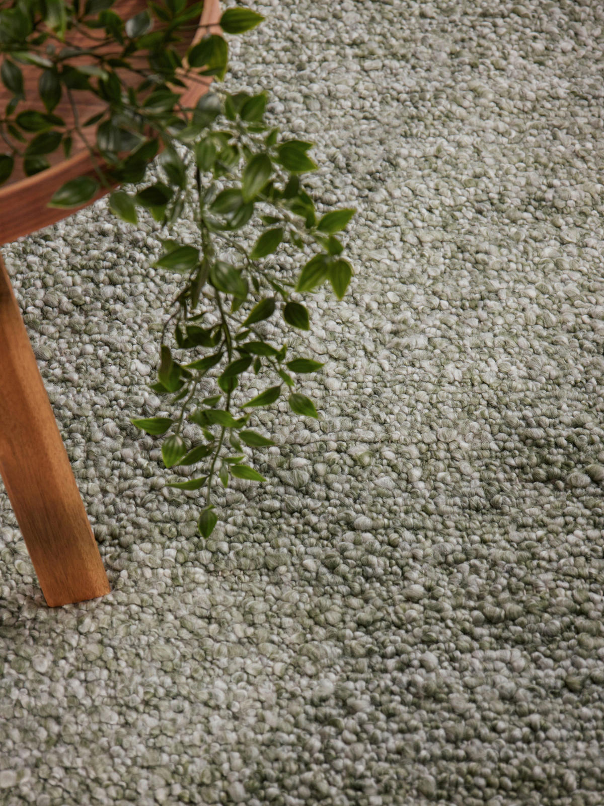 WEBTEPPICH 200/290 cm Notting Hill Dunkelgrün  - Dunkelgrün, Basics, Textil (200/290cm) - Ted Baker