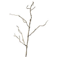 GRANA DEKORATIVNA  - smeđa/crna, Basics, tekstil/plastika (110cm)