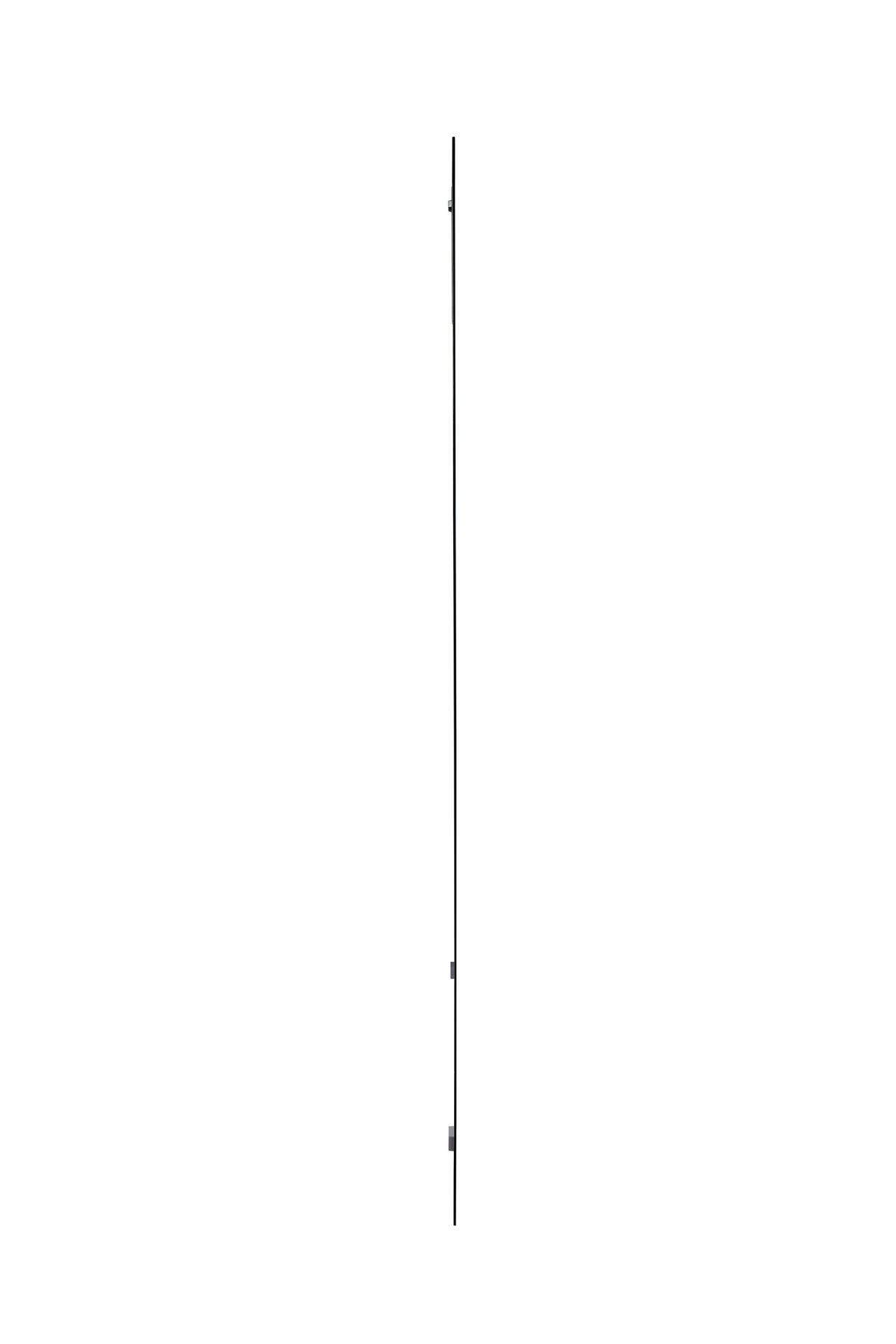 GLASBILD Tiere 90/180 cm  - Multicolor, Design, Glas (90/180cm)