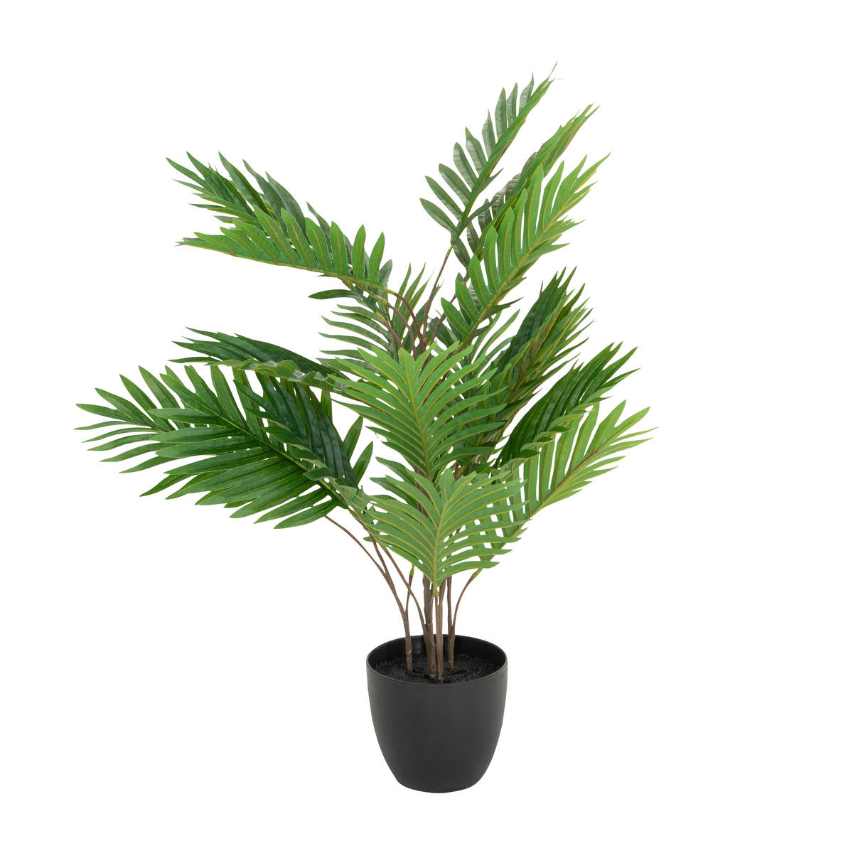 KUNSTPFLANZE Palme  - Schwarz/Braun, Basics, Kunststoff/Textil (60/70/60cm) - MID.YOU