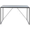 SCHREIBTISCH 120/60/73 cm  in Schwarz  - Schwarz, Konventionell, Glas/Metall (120/60/73cm) - Livetastic