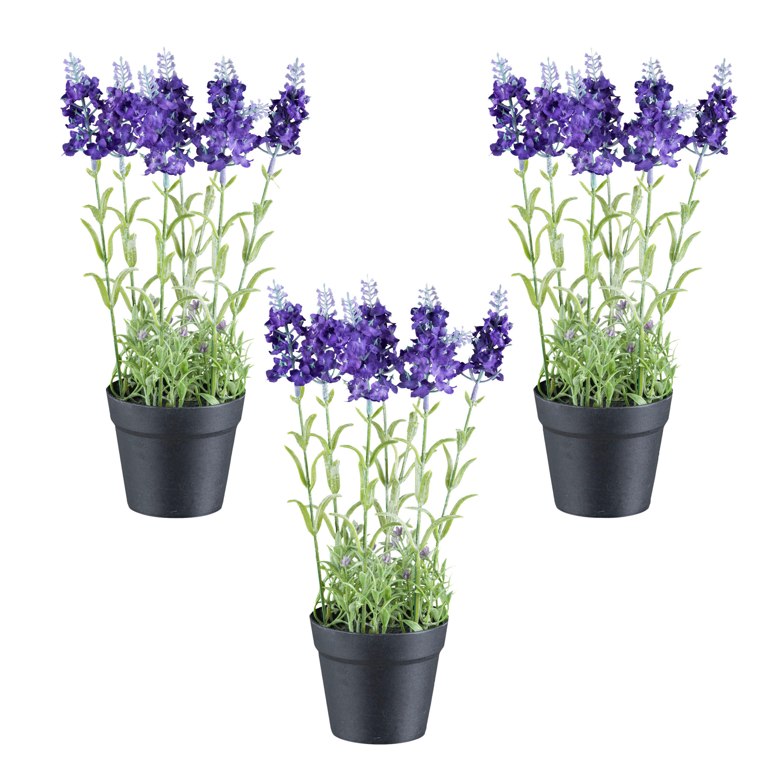 KUNSTPFLANZE Lavendel 29 cm  - Lila/Schwarz, Design, Kunststoff (29cm) - P & B