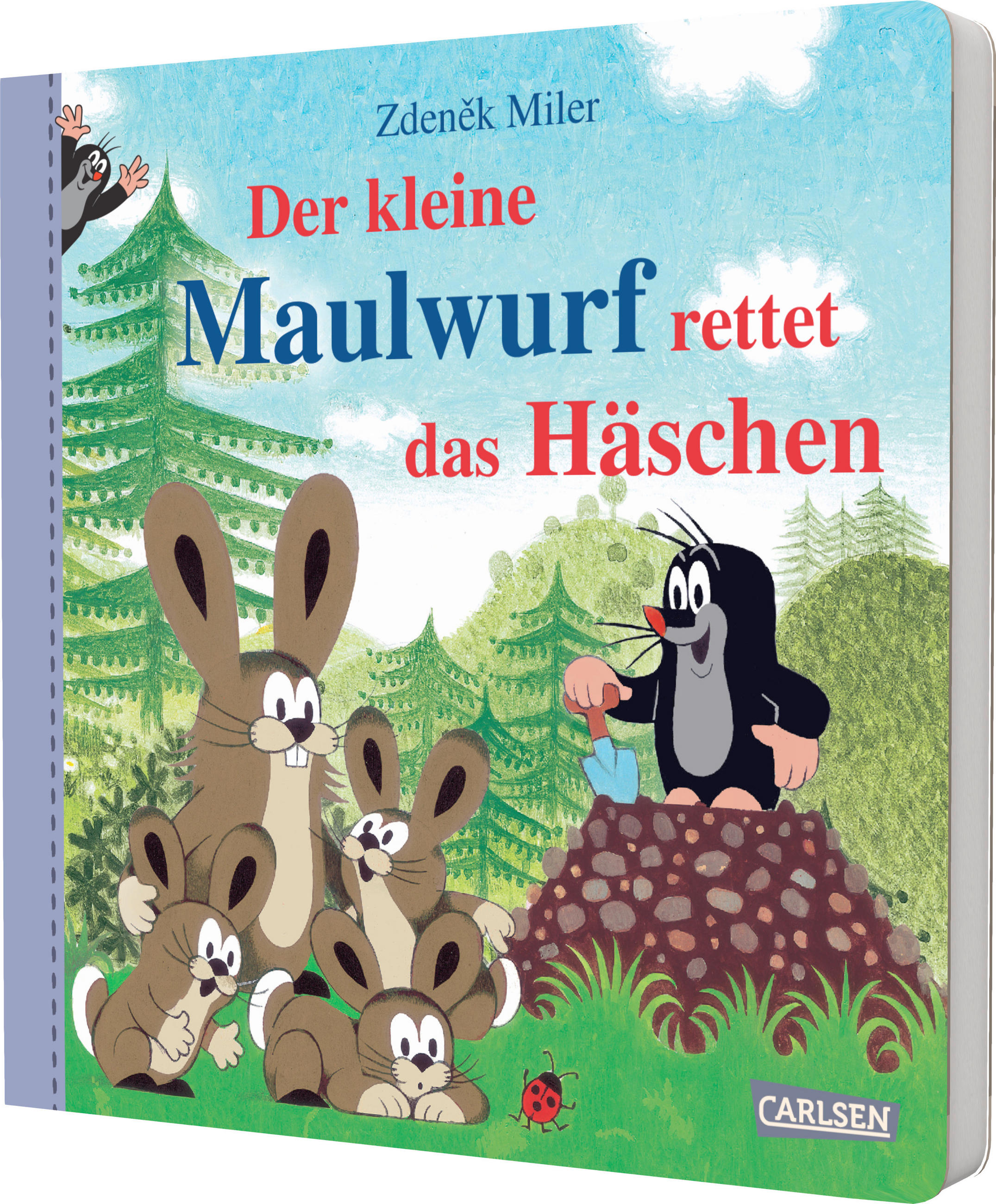 BUCH - Multicolor, Basics, Papier (19,8/19,8/1,6cm)