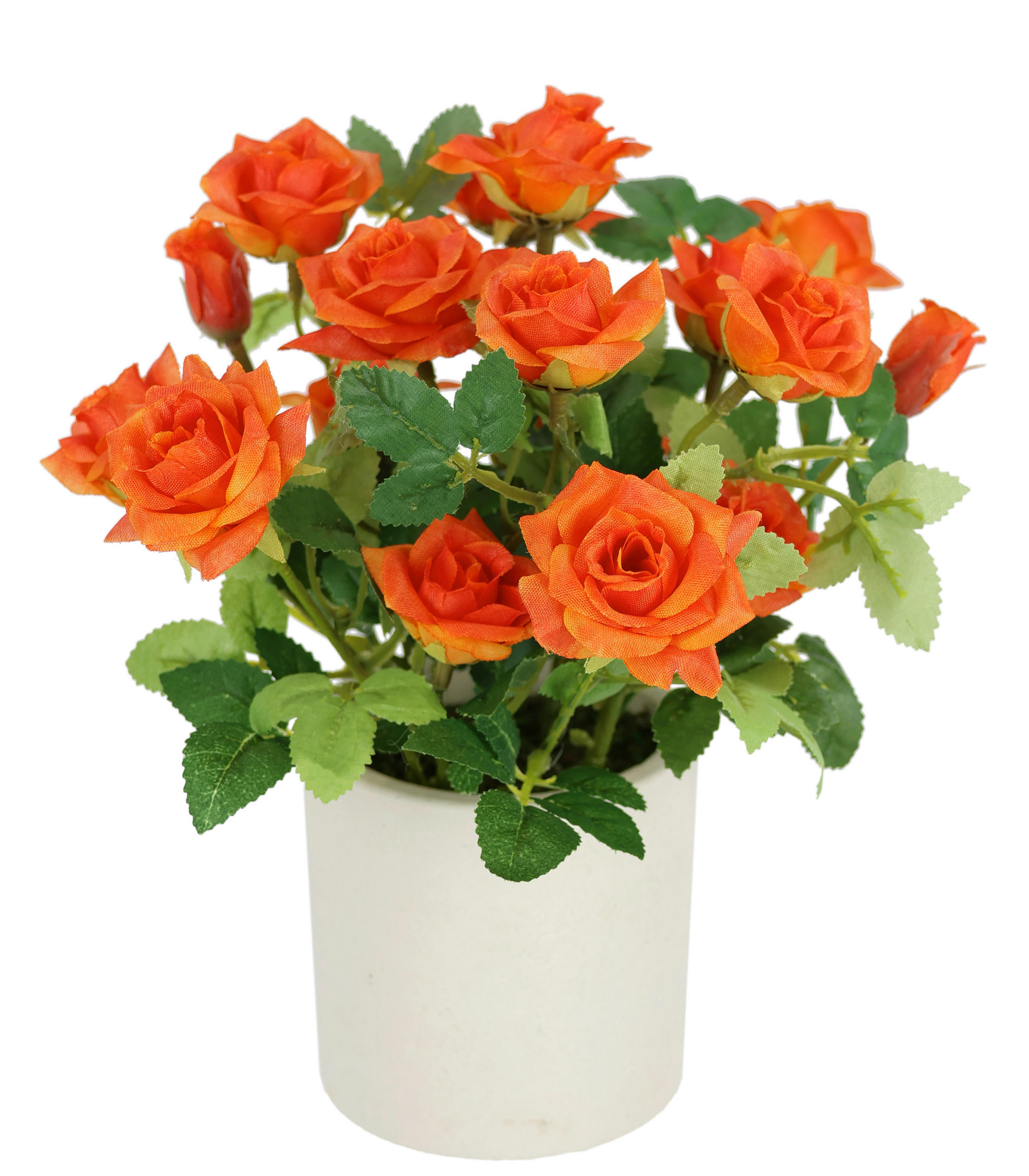 XXXLutz Rosenbusch Orange 18x21 cm